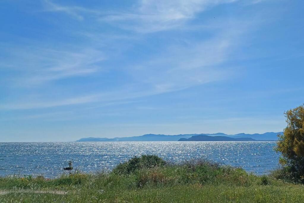 Appartamento Sul Mare Su Forti Esterno foto